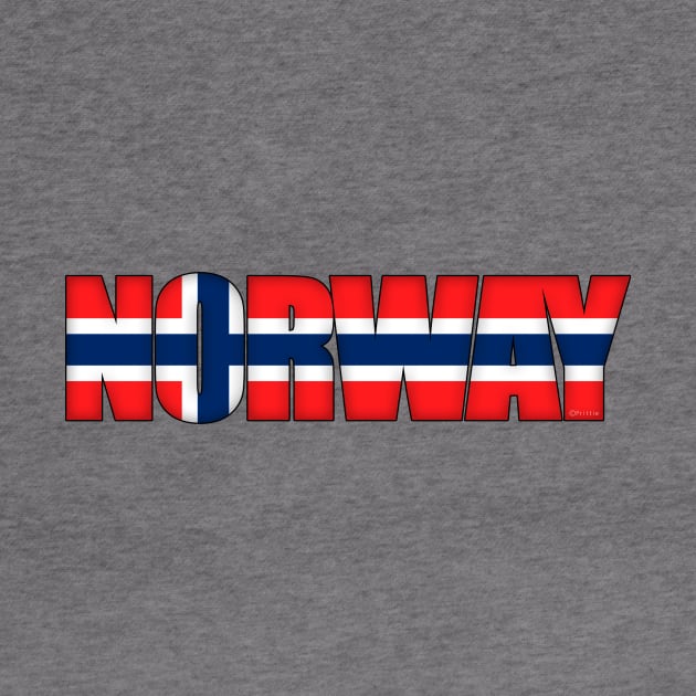 Norway by SeattleDesignCompany